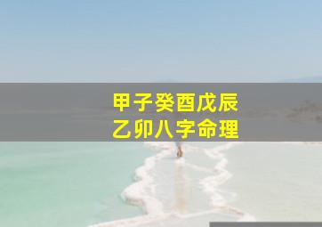 甲子癸酉戊辰乙卯八字命理