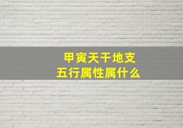 甲寅天干地支五行属性属什么