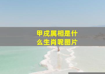 甲戌属相是什么生肖呢图片