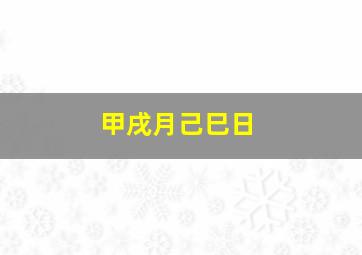 甲戌月己巳日