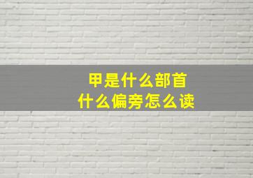 甲是什么部首什么偏旁怎么读