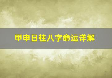 甲申日柱八字命运详解