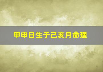 甲申日生于己亥月命理