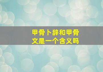 甲骨卜辞和甲骨文是一个含义吗