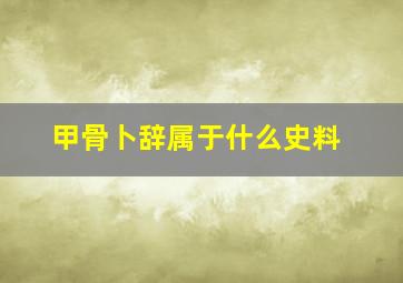 甲骨卜辞属于什么史料