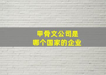 甲骨文公司是哪个国家的企业