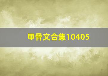 甲骨文合集10405