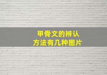 甲骨文的辨认方法有几种图片