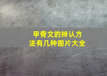 甲骨文的辨认方法有几种图片大全