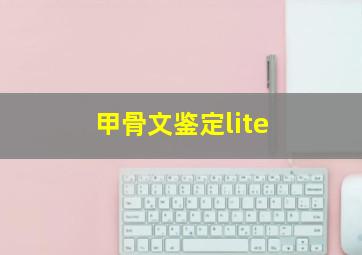 甲骨文鉴定lite