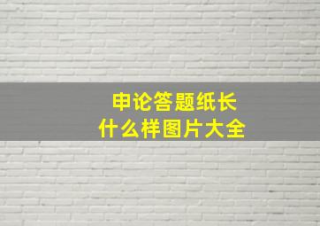 申论答题纸长什么样图片大全