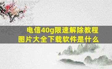 电信40g限速解除教程图片大全下载软件是什么