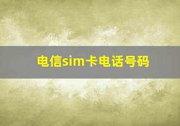 电信sim卡电话号码