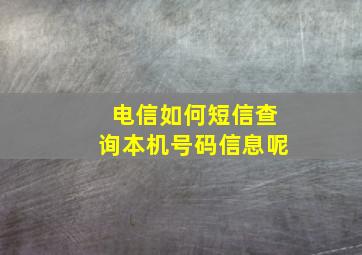 电信如何短信查询本机号码信息呢