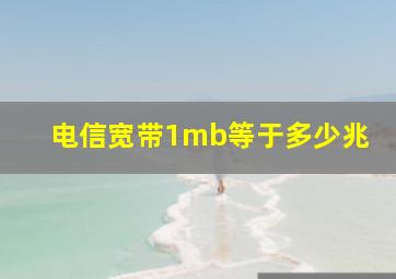 电信宽带1mb等于多少兆