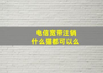 电信宽带注销什么猫都可以么