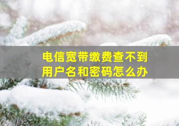 电信宽带缴费查不到用户名和密码怎么办