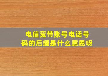 电信宽带账号电话号码的后缀是什么意思呀