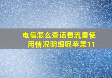 电信怎么查话费流量使用情况明细呢苹果11