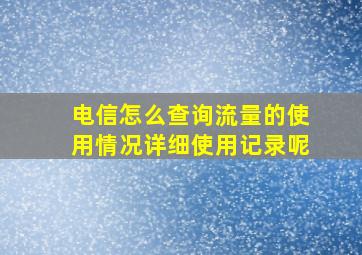 电信怎么查询流量的使用情况详细使用记录呢