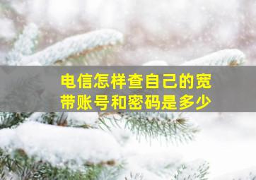 电信怎样查自己的宽带账号和密码是多少