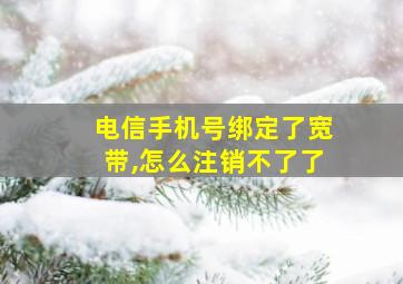 电信手机号绑定了宽带,怎么注销不了了