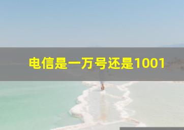 电信是一万号还是1001