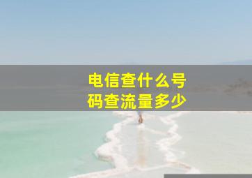 电信查什么号码查流量多少