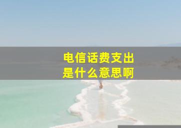 电信话费支出是什么意思啊