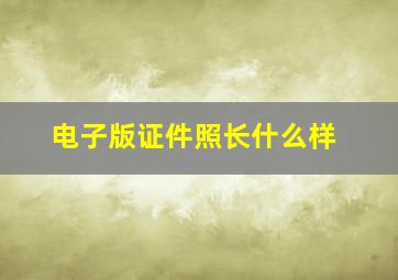 电子版证件照长什么样