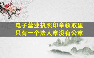 电子营业执照印章领取里只有一个法人章没有公章