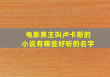 电影男主叫卢卡斯的小说有哪些好听的名字