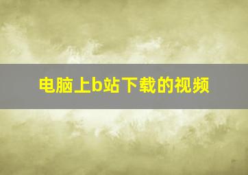 电脑上b站下载的视频