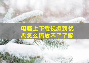 电脑上下载视频到优盘怎么播放不了了呢