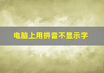 电脑上用拼音不显示字