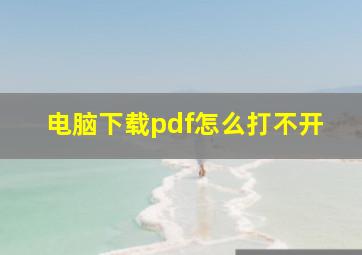 电脑下载pdf怎么打不开