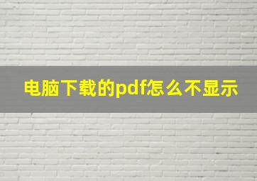 电脑下载的pdf怎么不显示