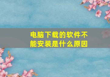 电脑下载的软件不能安装是什么原因