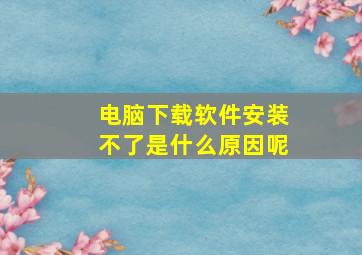 电脑下载软件安装不了是什么原因呢