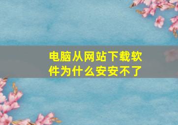 电脑从网站下载软件为什么安安不了