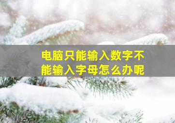 电脑只能输入数字不能输入字母怎么办呢