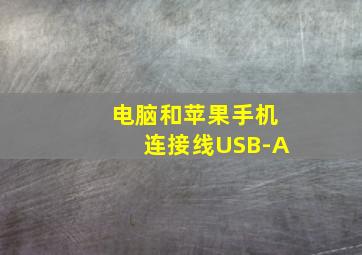 电脑和苹果手机连接线USB-A