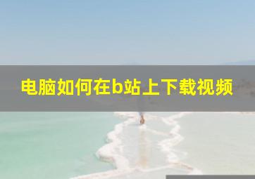 电脑如何在b站上下载视频