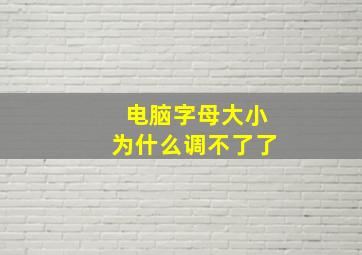 电脑字母大小为什么调不了了