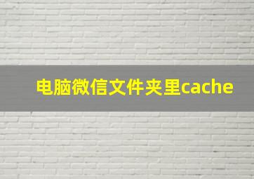 电脑微信文件夹里cache