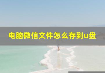 电脑微信文件怎么存到u盘