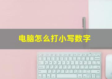 电脑怎么打小写数字