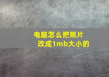 电脑怎么把照片改成1mb大小的