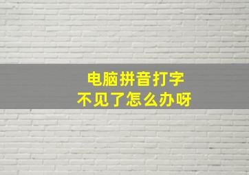 电脑拼音打字不见了怎么办呀