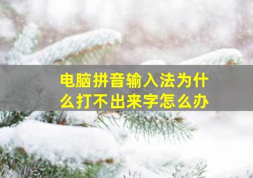 电脑拼音输入法为什么打不出来字怎么办